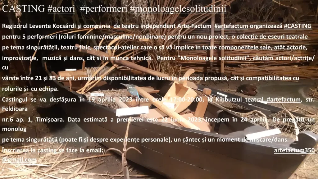 CASTING #actori #performeri #monoloagelesolitudinii