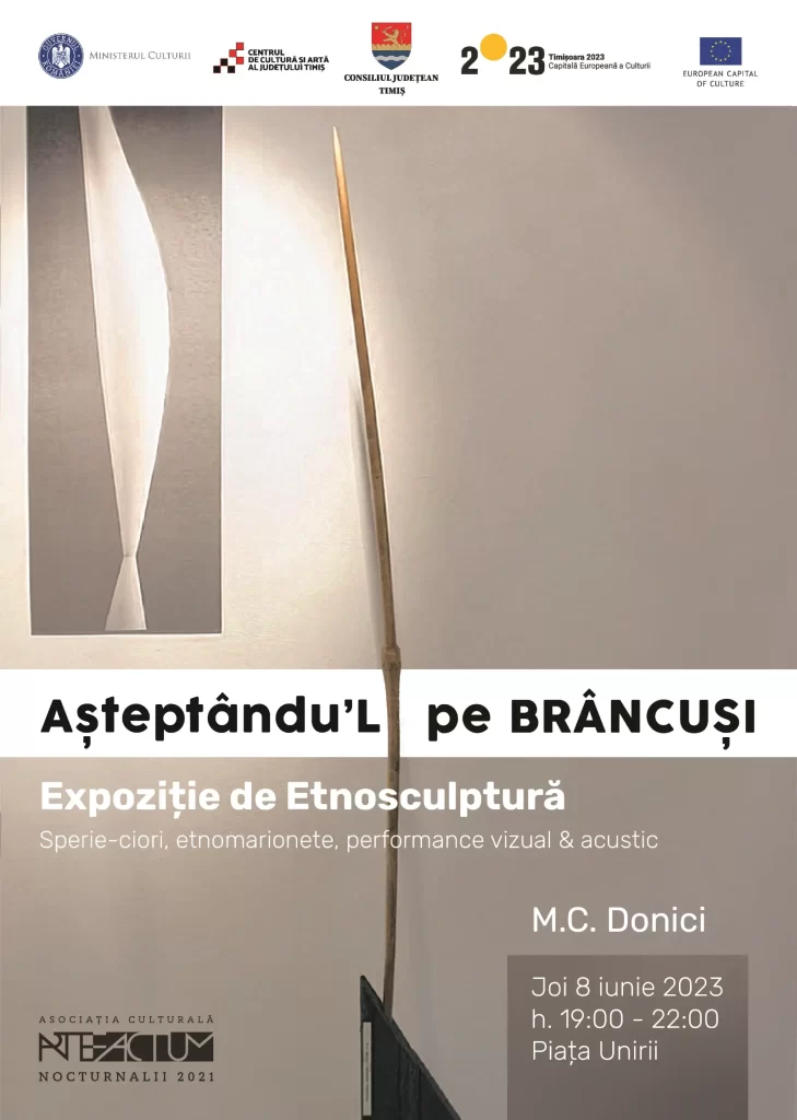 Așteptându-l pe Brâncuși